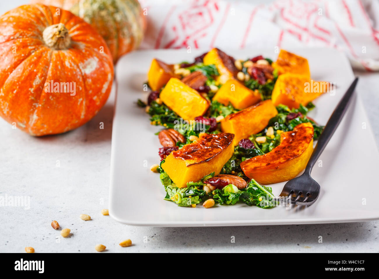 Pumpkin salad with nuts, cranberries and kale in rectangular plate. Stock Photo