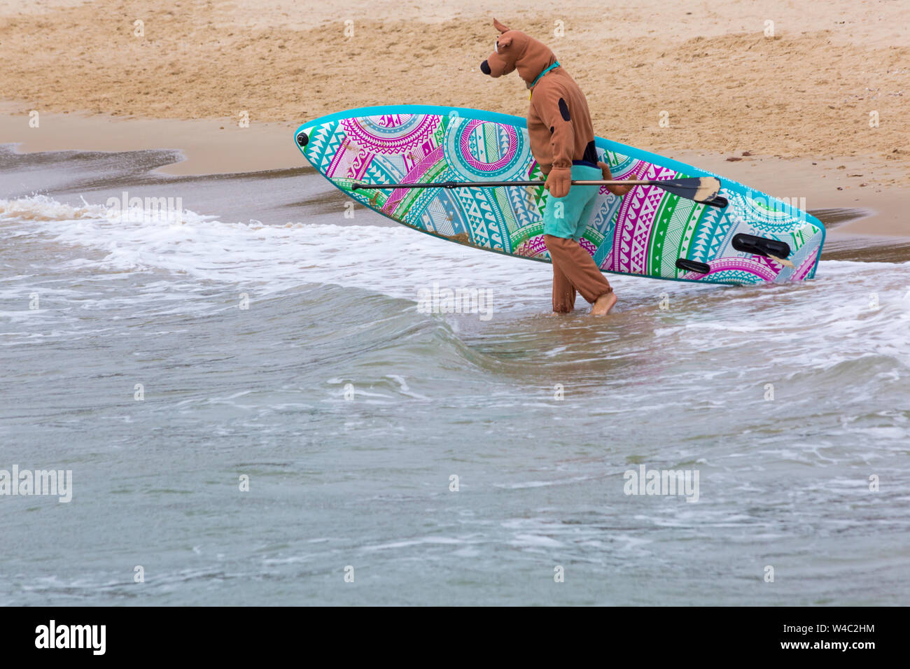Scooby Doo goes surfing, paddleboarding for Dog Surfing Championships