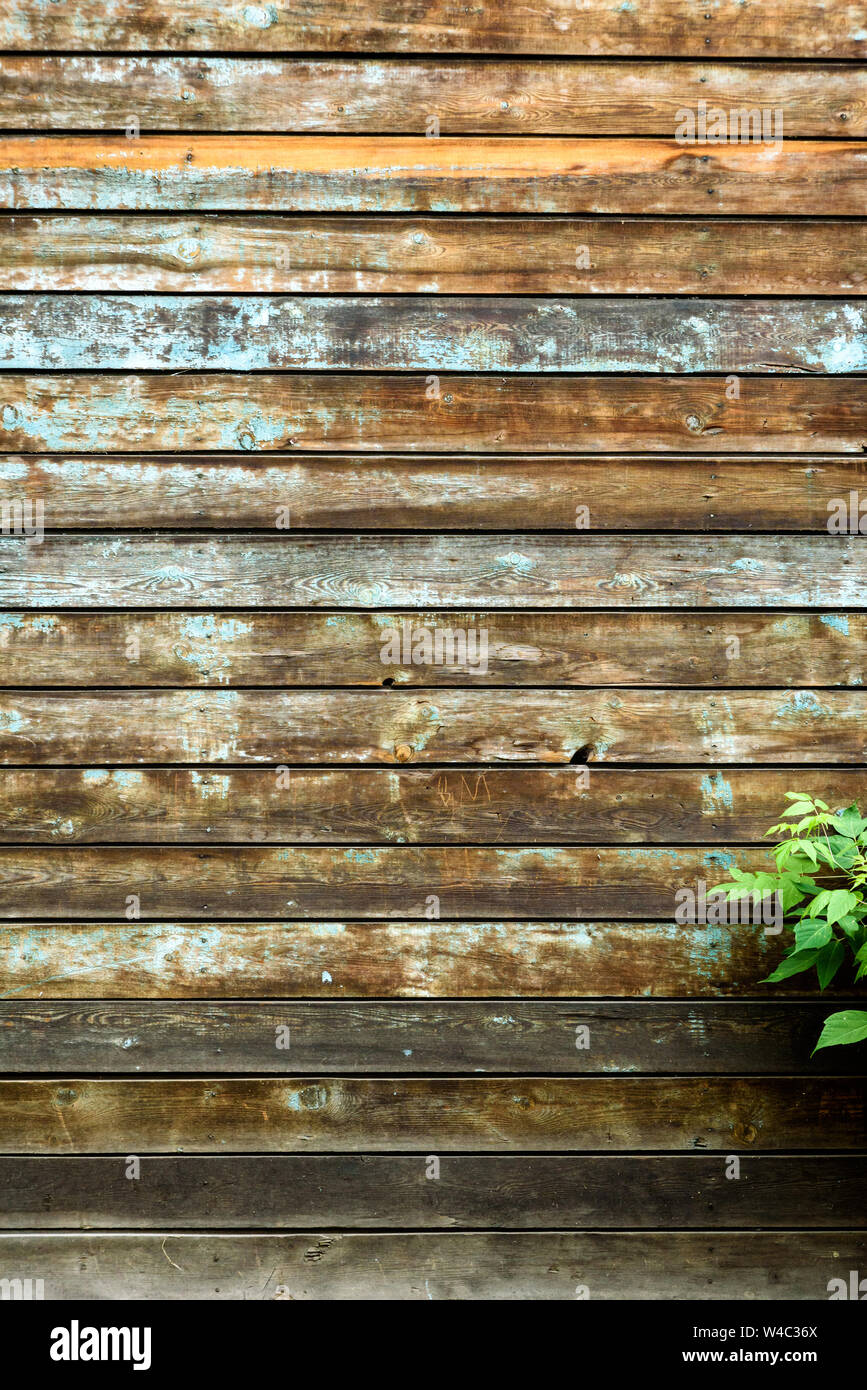 Spring green grass over wood fence background Stock Photo - Alamy