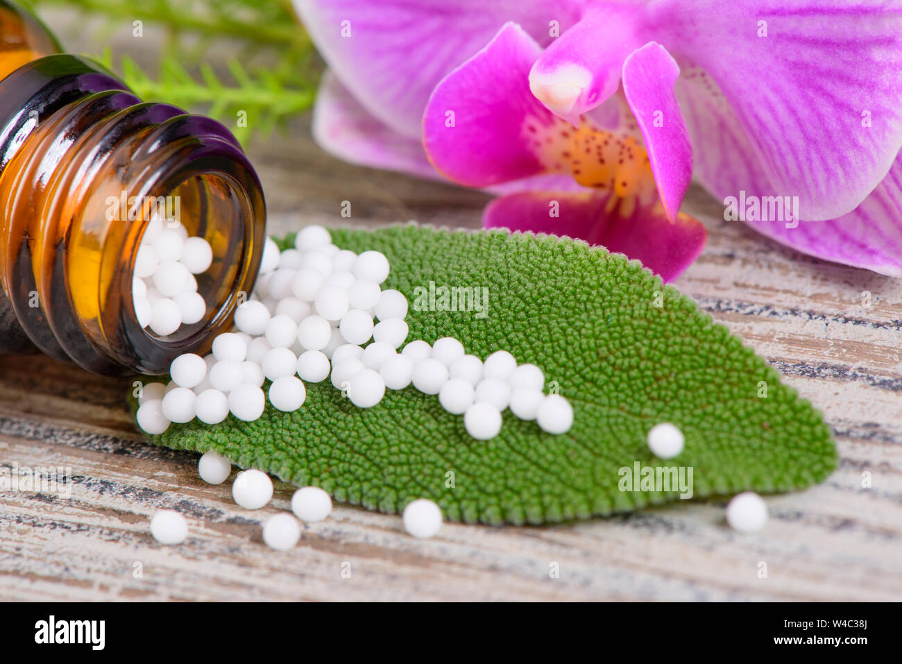 alternative and herbal medicine with homeopathic pills Stock Photo