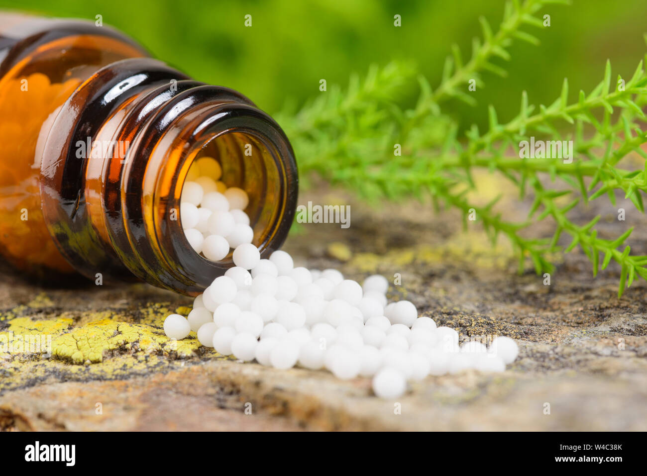 alternative and herbal medicine with homeopathic pills Stock Photo