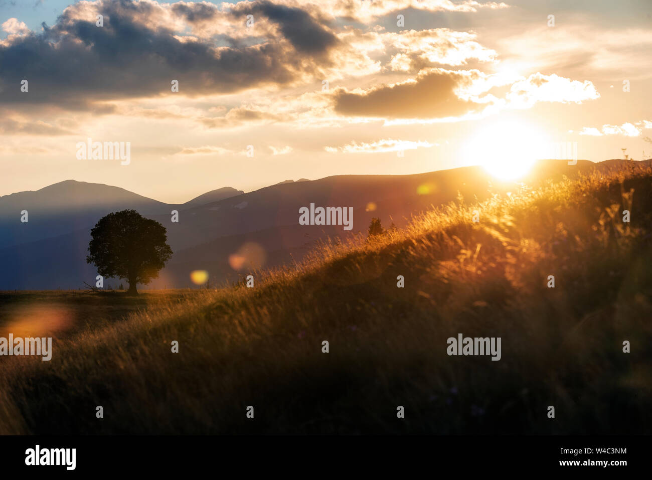 One tree on slope hill mountain and beautiful sunrise with tree alone and sun sky yellow blue background Stock Photo