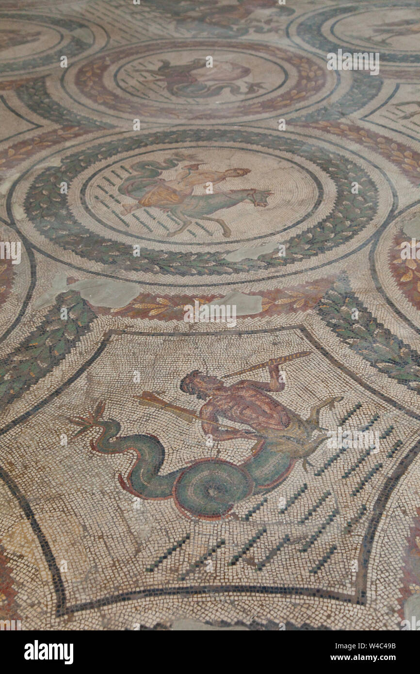Mosaico de Neptuno, el más grande de el mundo,Museo del Bardo,Barrio del Bardo, Ciudad de Tunez, Tunez, Africa Stock Photo