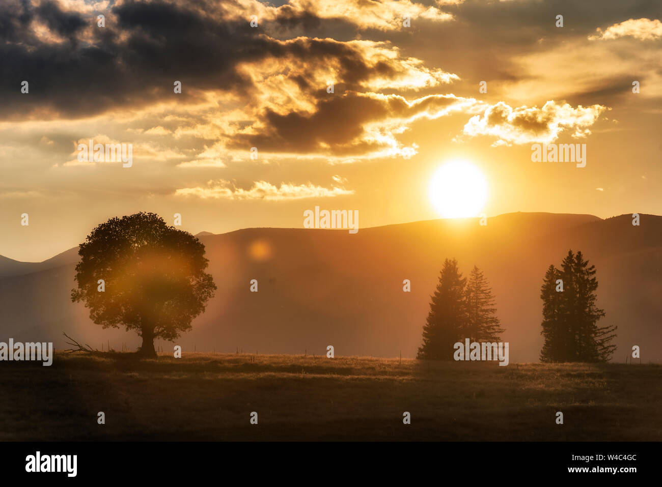 One tree on slope hill mountain and beautiful sunrise with tree alone and sun sky yellow blue background Stock Photo