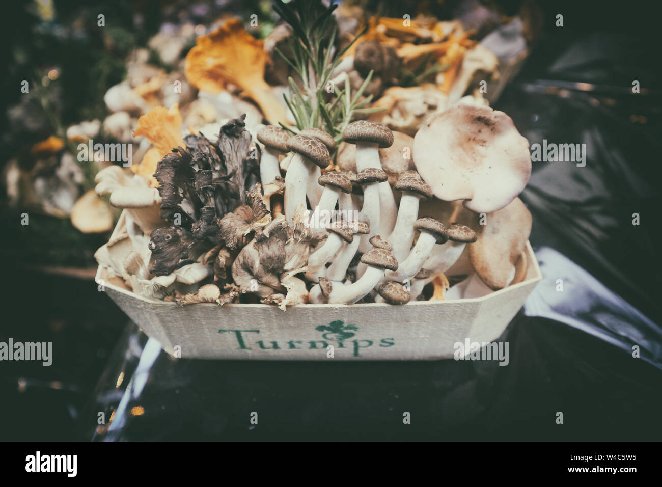 Feeding turnips hires stock photography and images Alamy