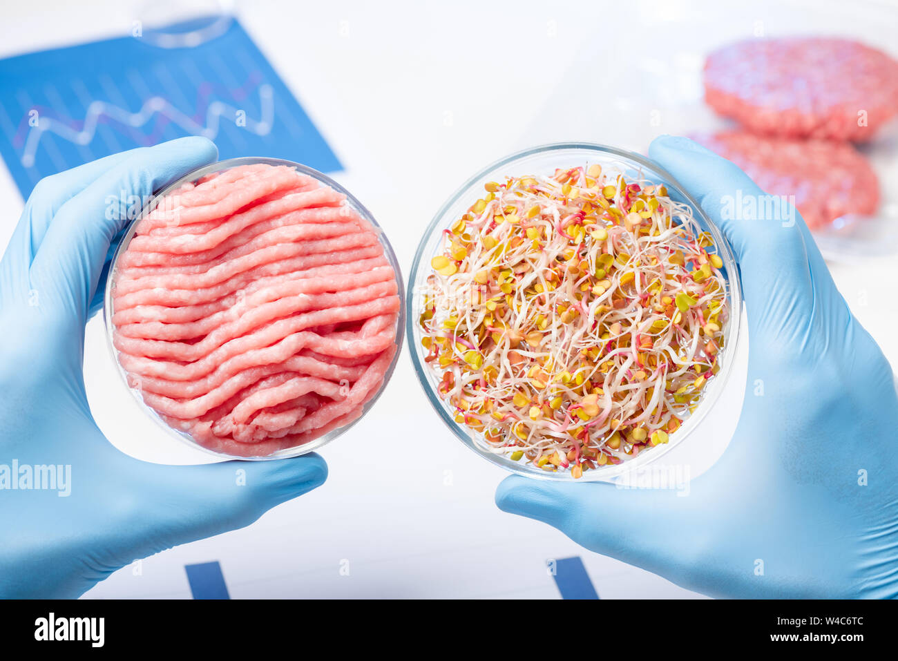 Plant based meat substitutes research. Cultured artificial laboratory