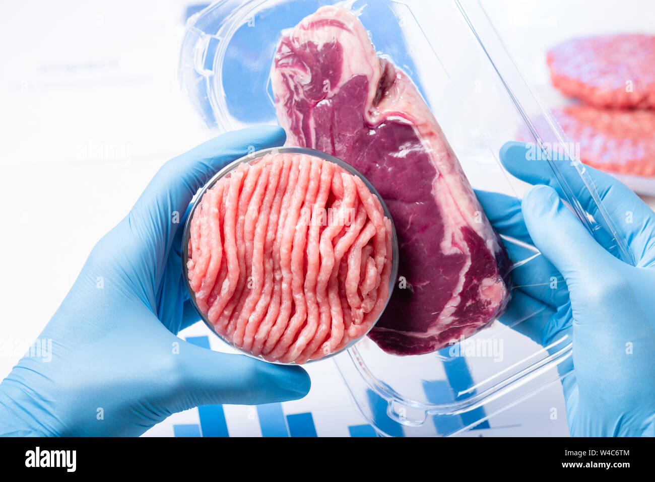 Minced meat in Petri dish and vacuum packaged steak in laboratory scientist hands. Stock Photo
