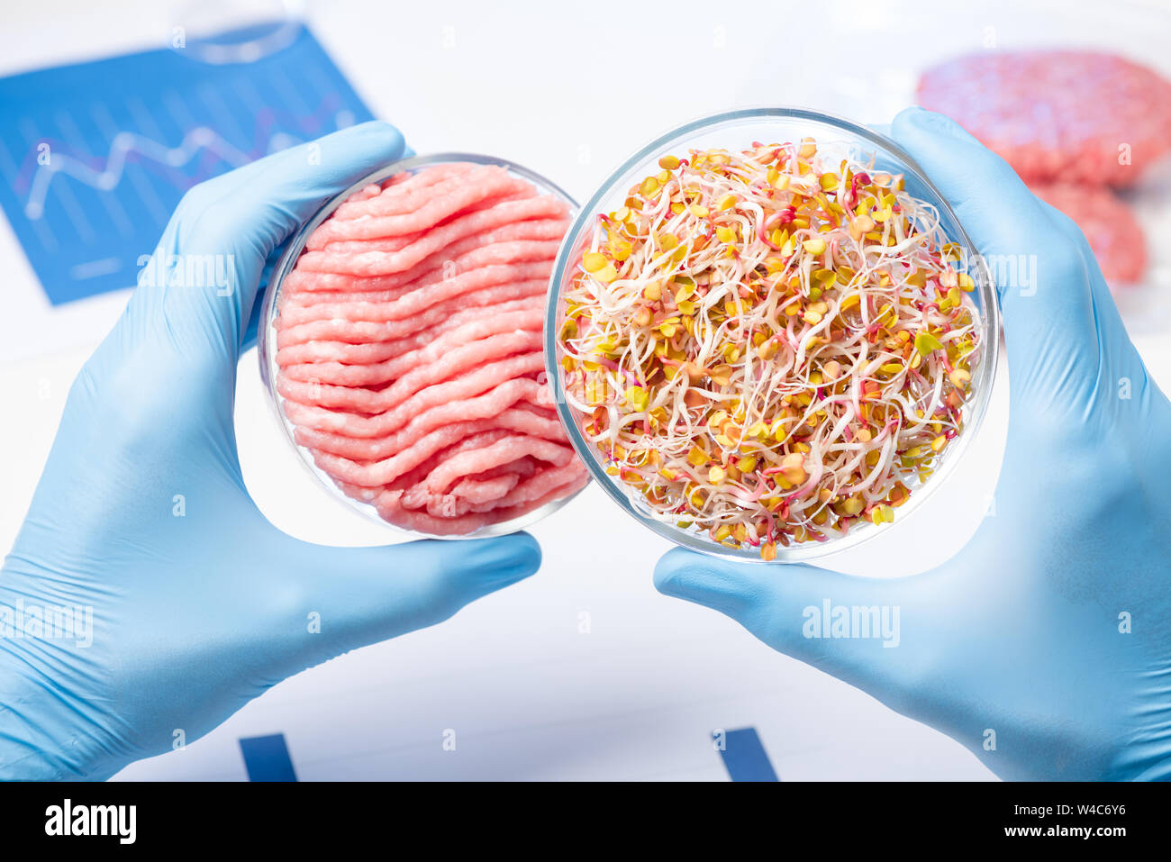 Scientist showing plant material in Petri dish for preparing lab cruelty free meat substitute Stock Photo