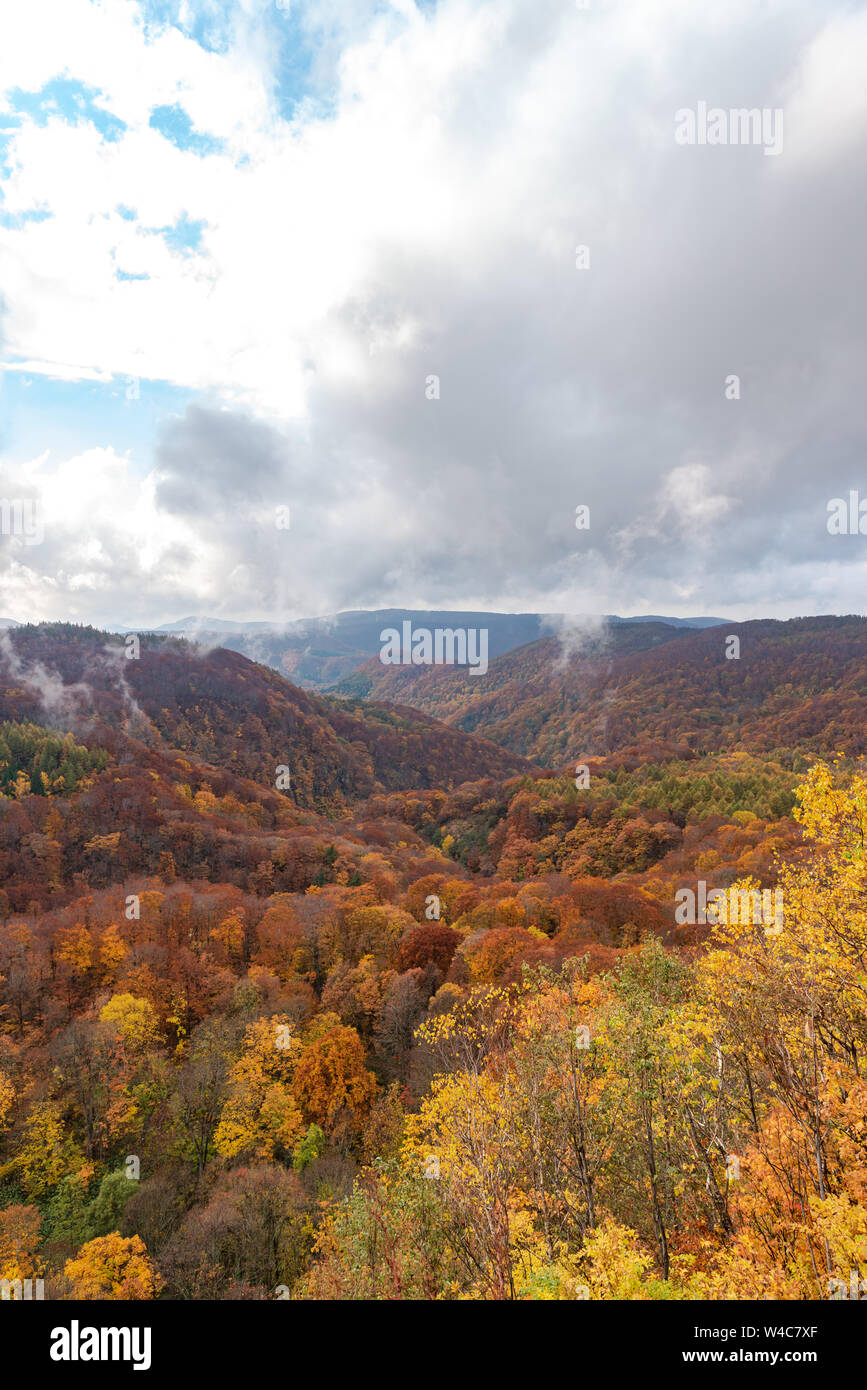 Autumn foliage scenery view, beautiful landscapes. Fall is full of ...