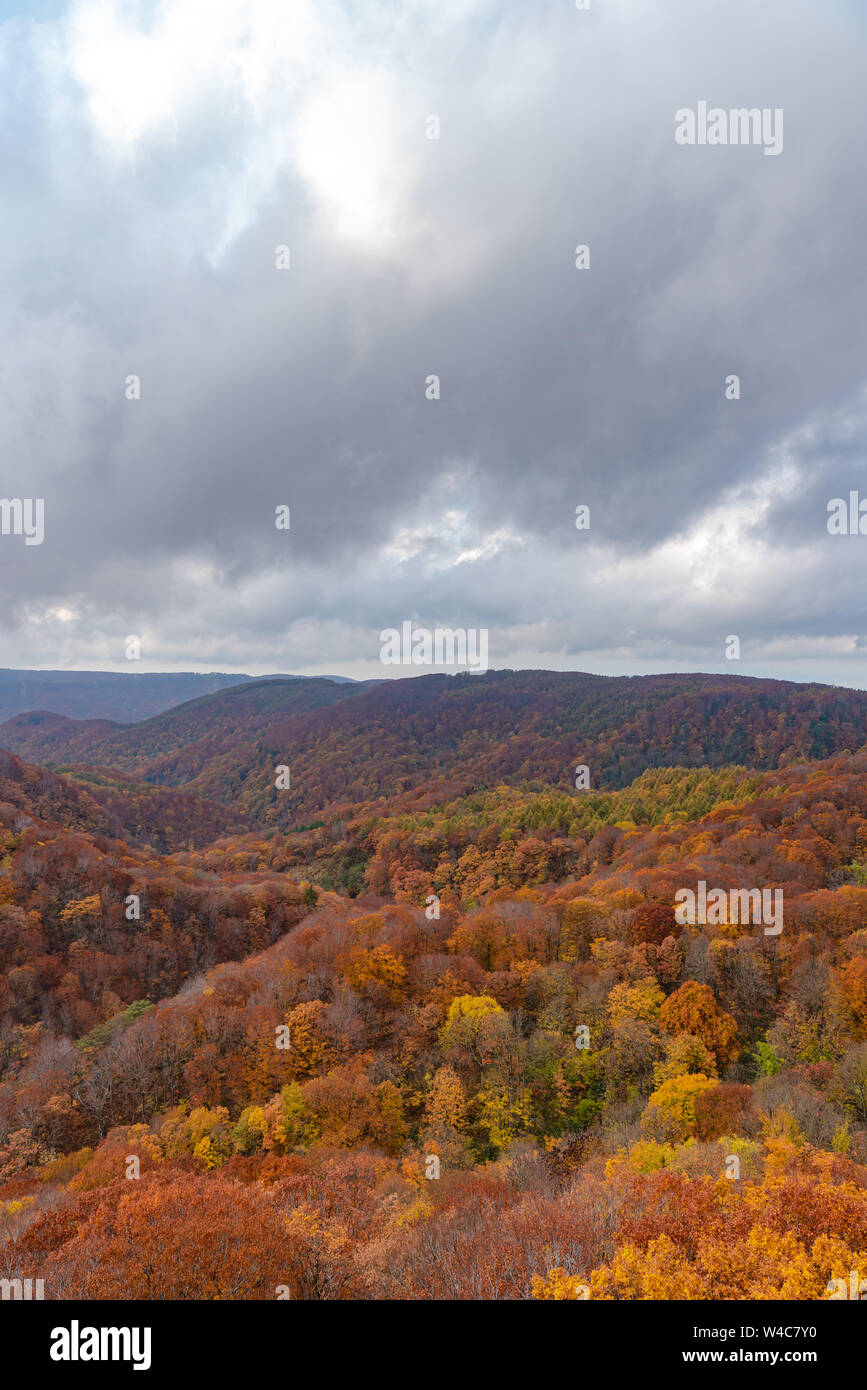 Autumn foliage scenery view, beautiful landscapes. Fall is full of ...