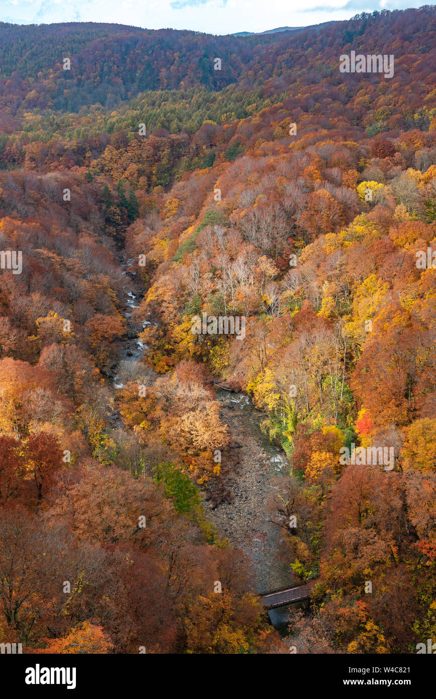 Autumn foliage scenery. Aerial view of valley and stream in fall season. Colorful forest trees background in red, orange, and golden colors Stock Photo