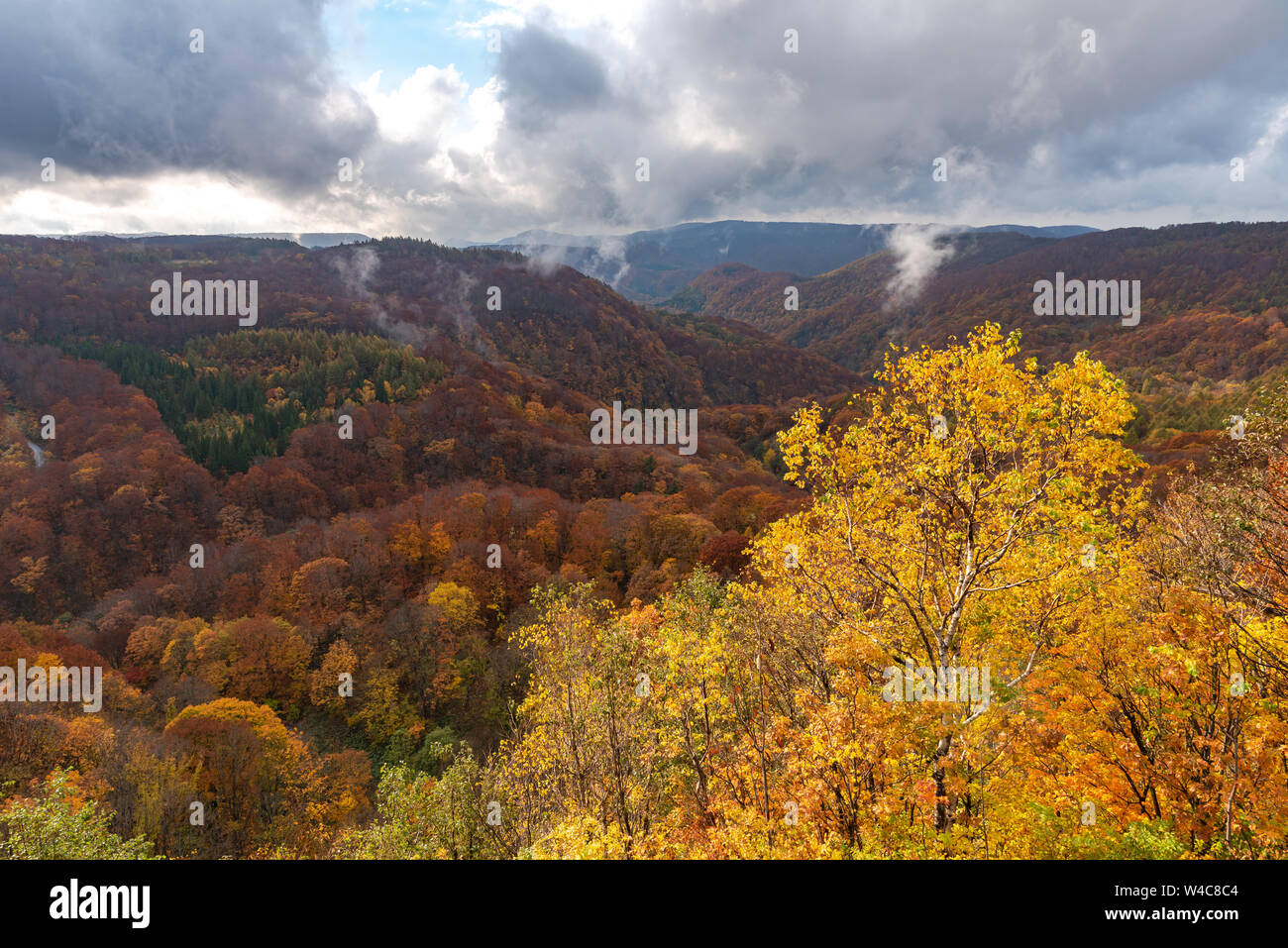 Autumn foliage scenery view, beautiful landscapes. Fall is full of ...