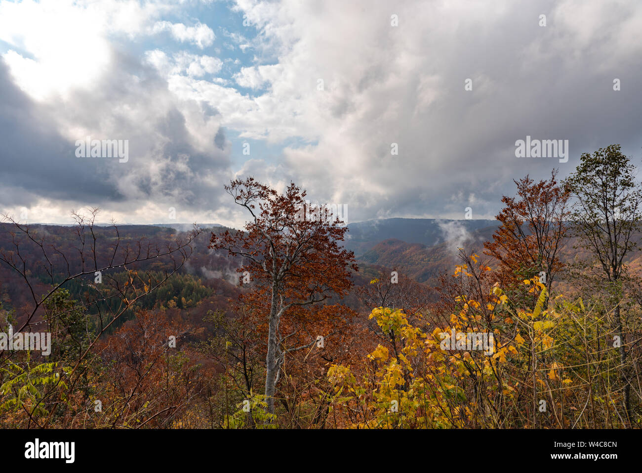 Autumn foliage scenery view, beautiful landscapes. Fall is full of ...
