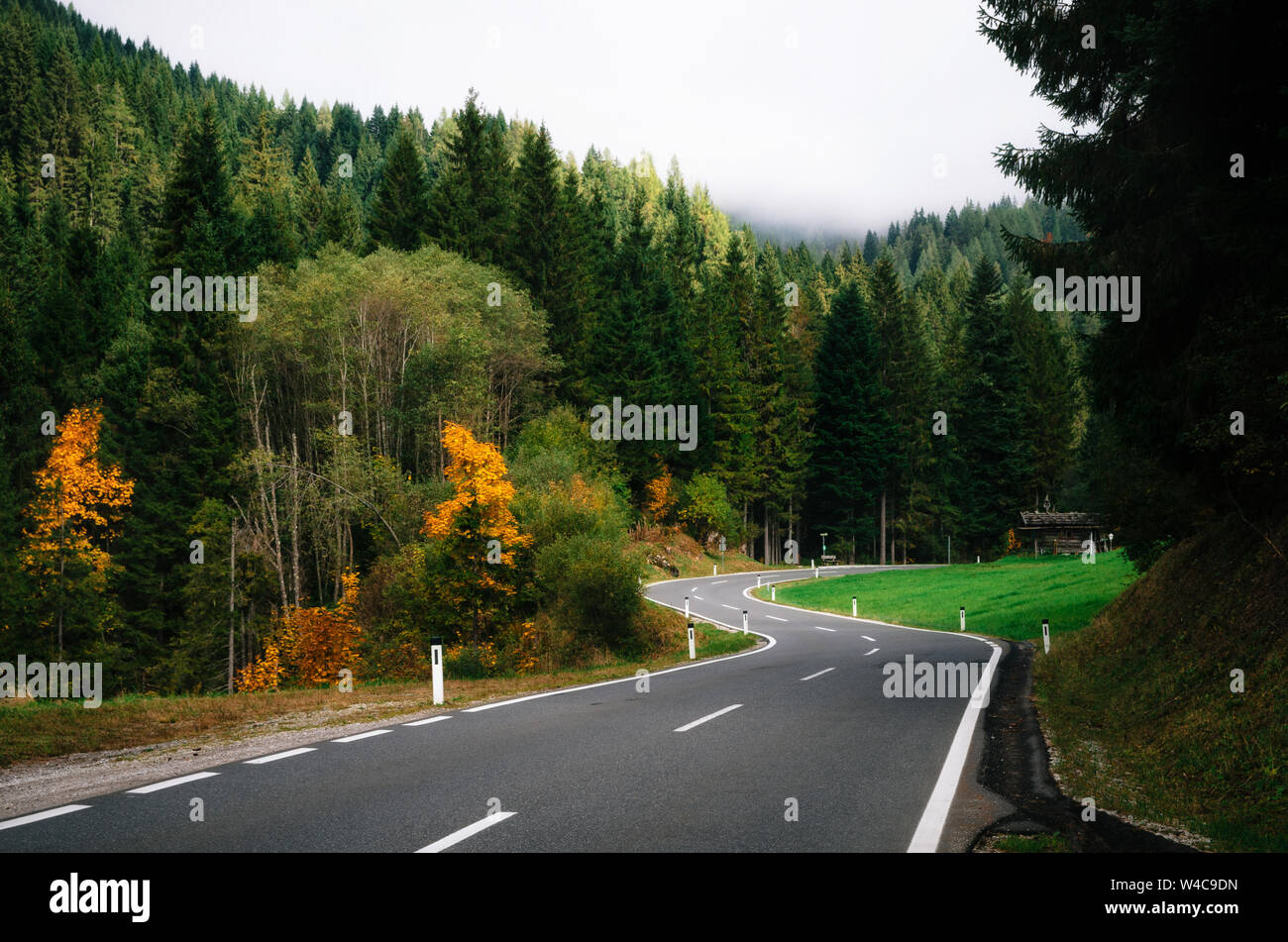 Winding road in dense forest in area of Dachstein massif in Alps, Austria Stock Photo