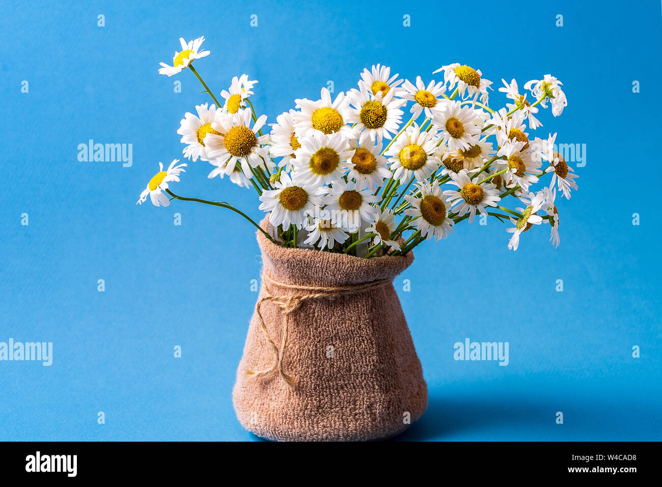 Front view Bouquet of the chamomile flowers in the vase over blue ...