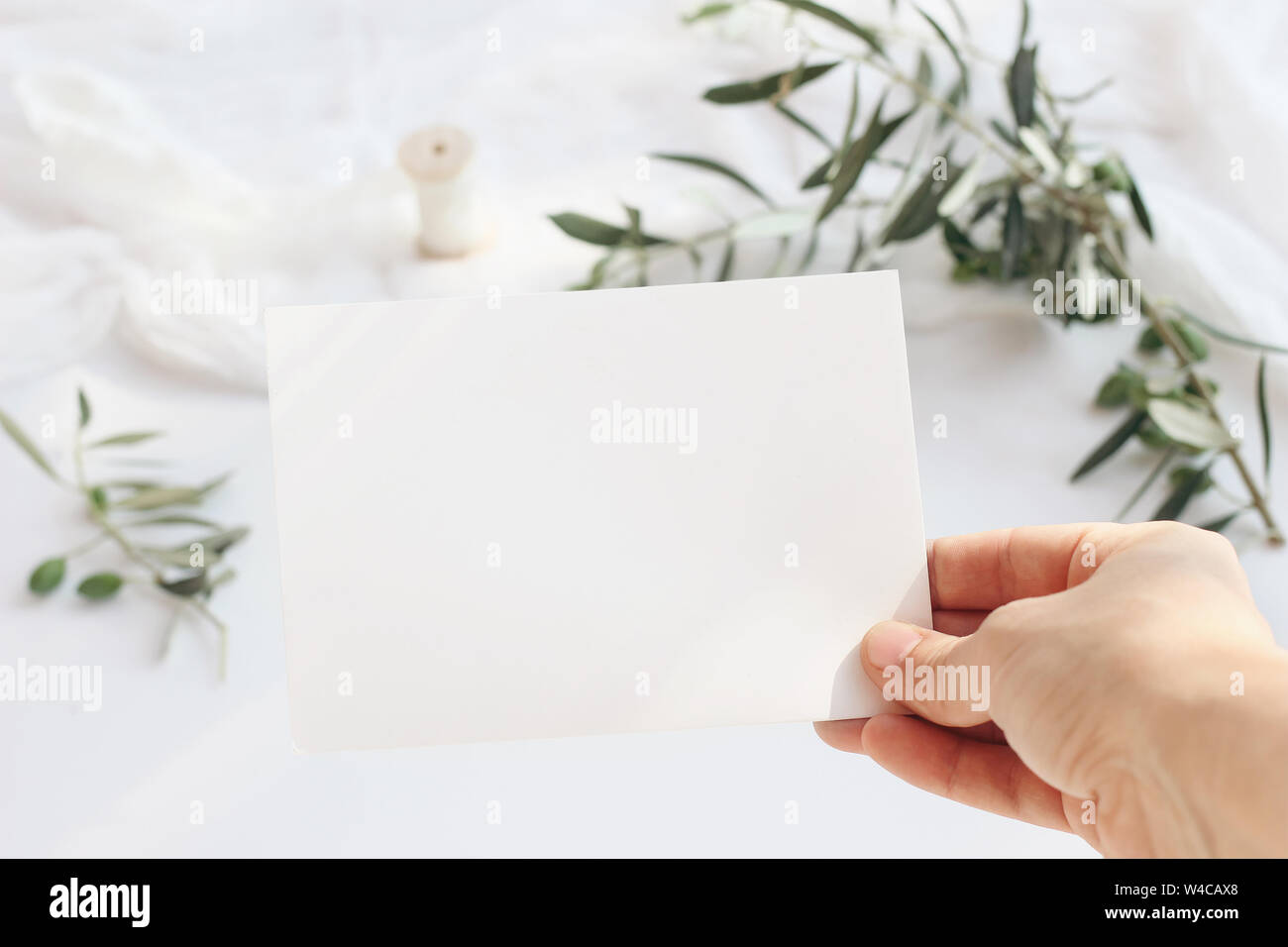 Download Feminine Wedding Birthday Greeting Card Mockup Scene With Woman S Hand Holding Blank Paper Card Blurred Background With Olive Tree Branches And Silk Stock Photo Alamy