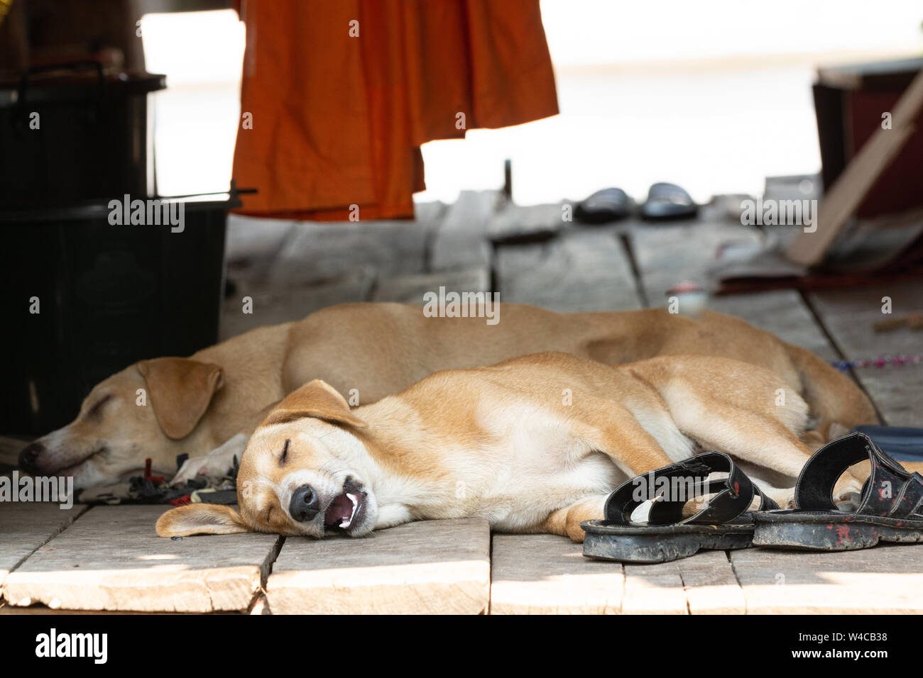 Mouth open asleep hires stock photography and images Alamy