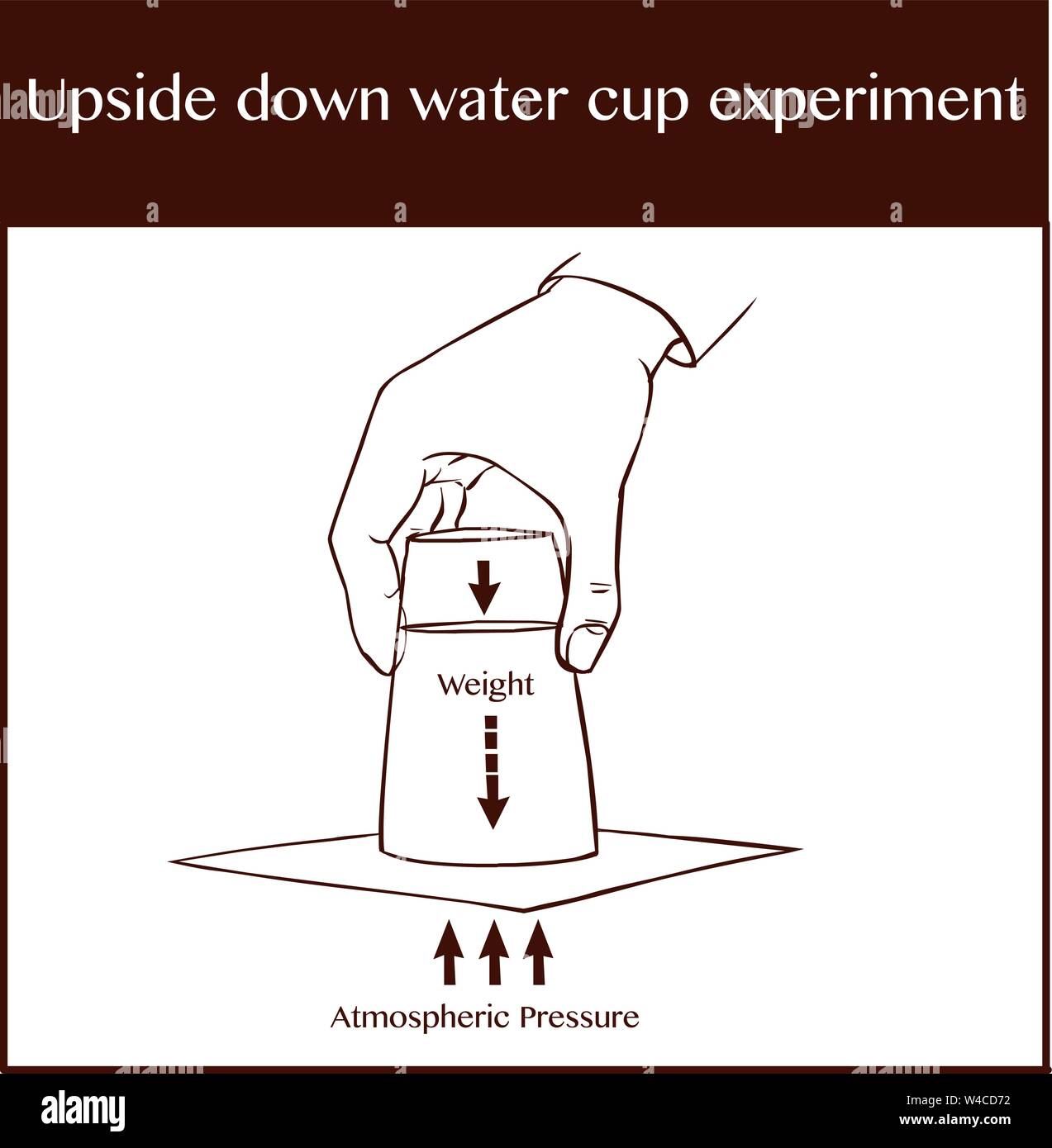 Vector illustration of a upside down water cup experimen Stock Vector ...