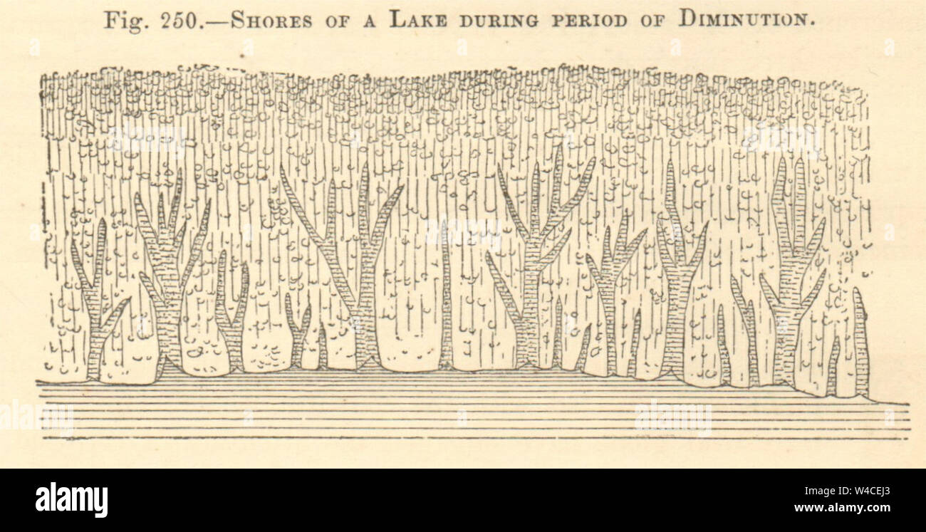 Shores of a lake during period of diminution. SMALL 1886 old antique print Stock Photo