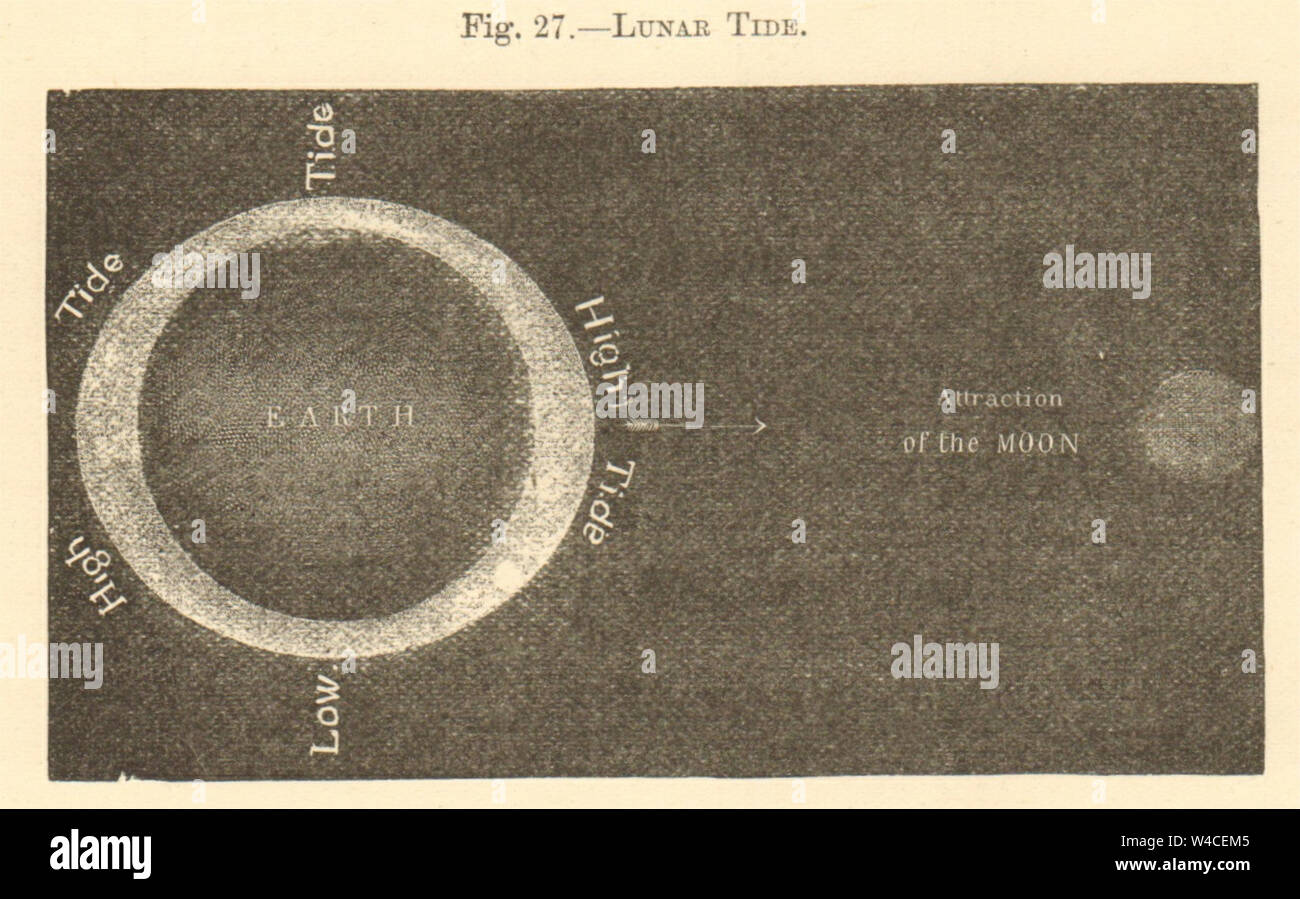 Lunar Tide. Astronomy. SMALL 1886 old antique vintage print picture Stock Photo