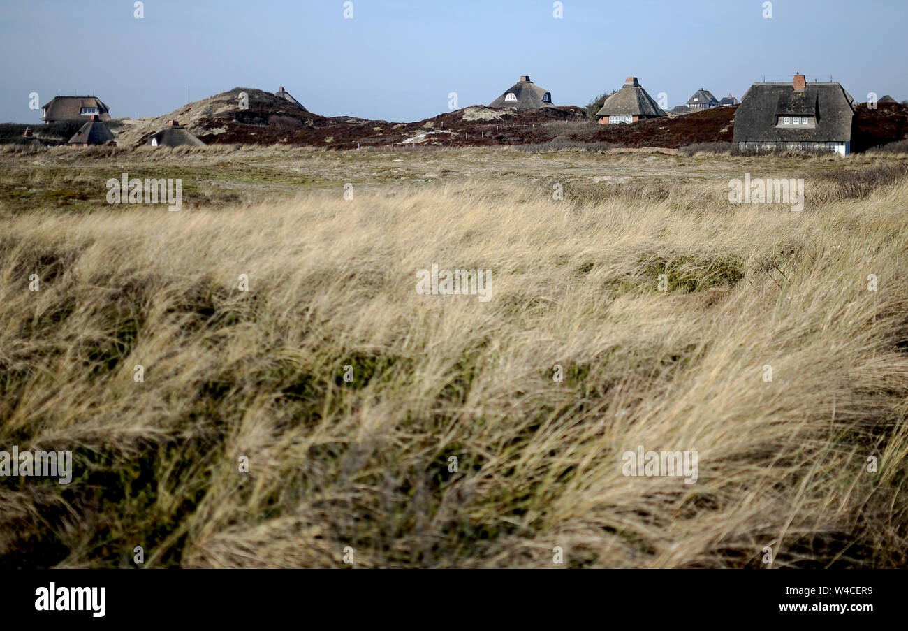 18 February 2019, Schleswig-Holstein, Sylt: thatched houses on Sylt. Sylt is the largest North Frisian island in Germany. Photo: Britta Pedersen/dpa-Zentralbild/ZB Stock Photo