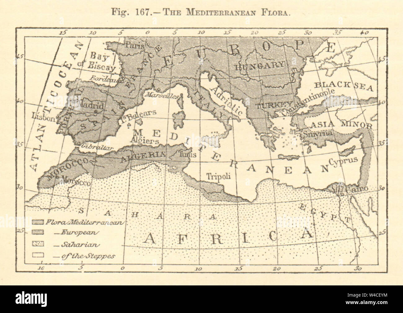 The Mediterranean Flora. Sketch map 1886 old antique vintage plan chart Stock Photo