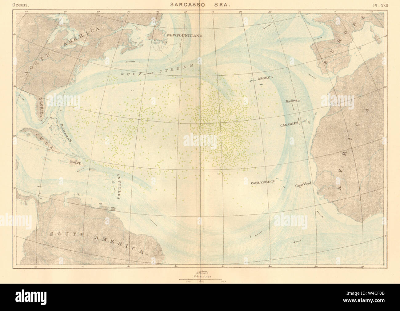 Sargasso Sea. Atlantic Ocean 1886 old antique vintage map plan chart Stock Photo