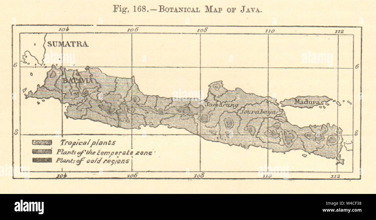 Botanical map of Java. Indonesia. SMALL sketch map 1886 old antique chart Stock Photo