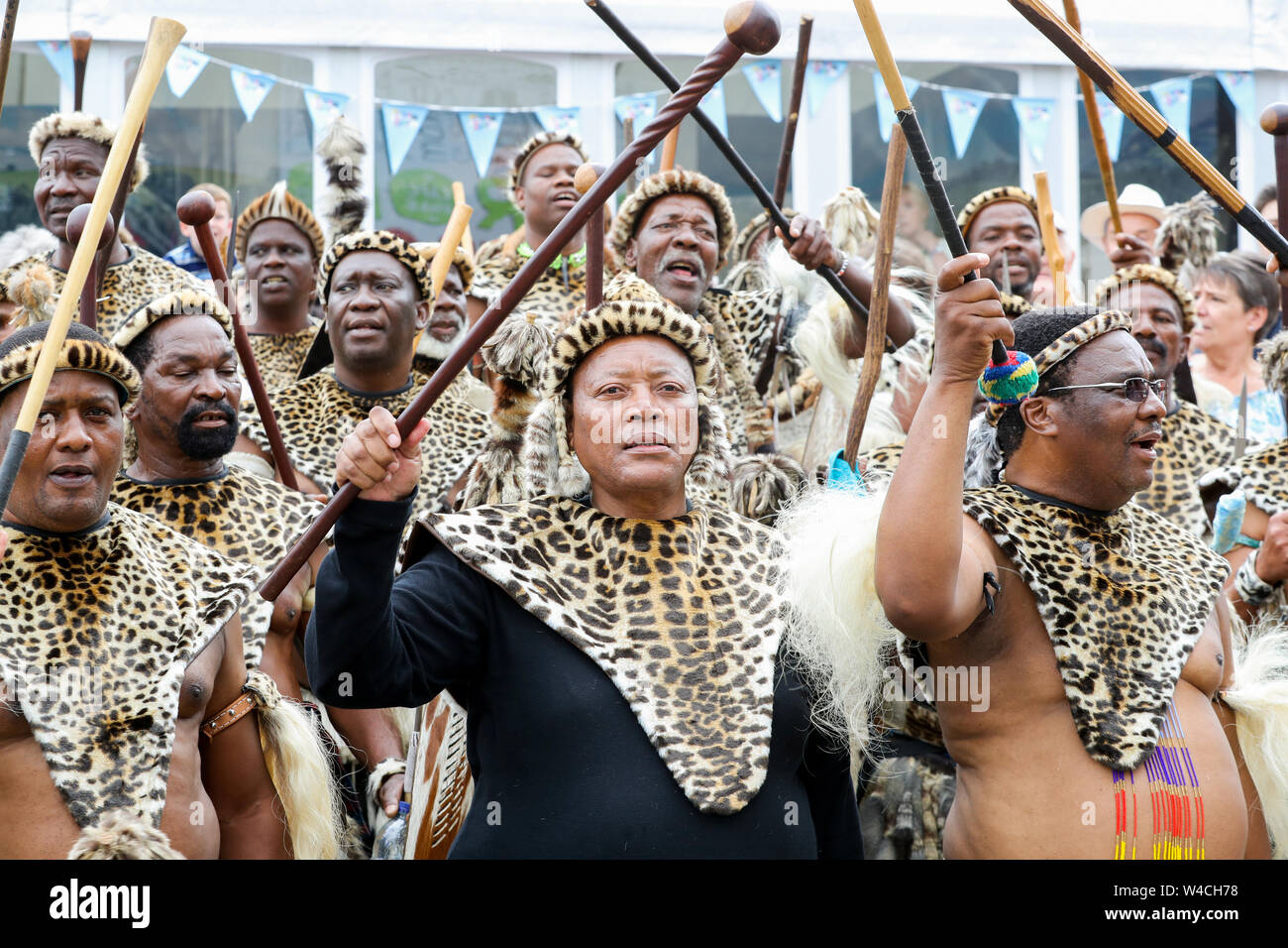 Members of the Zulu 'impi' regiment during the 100th Royal Welsh Show