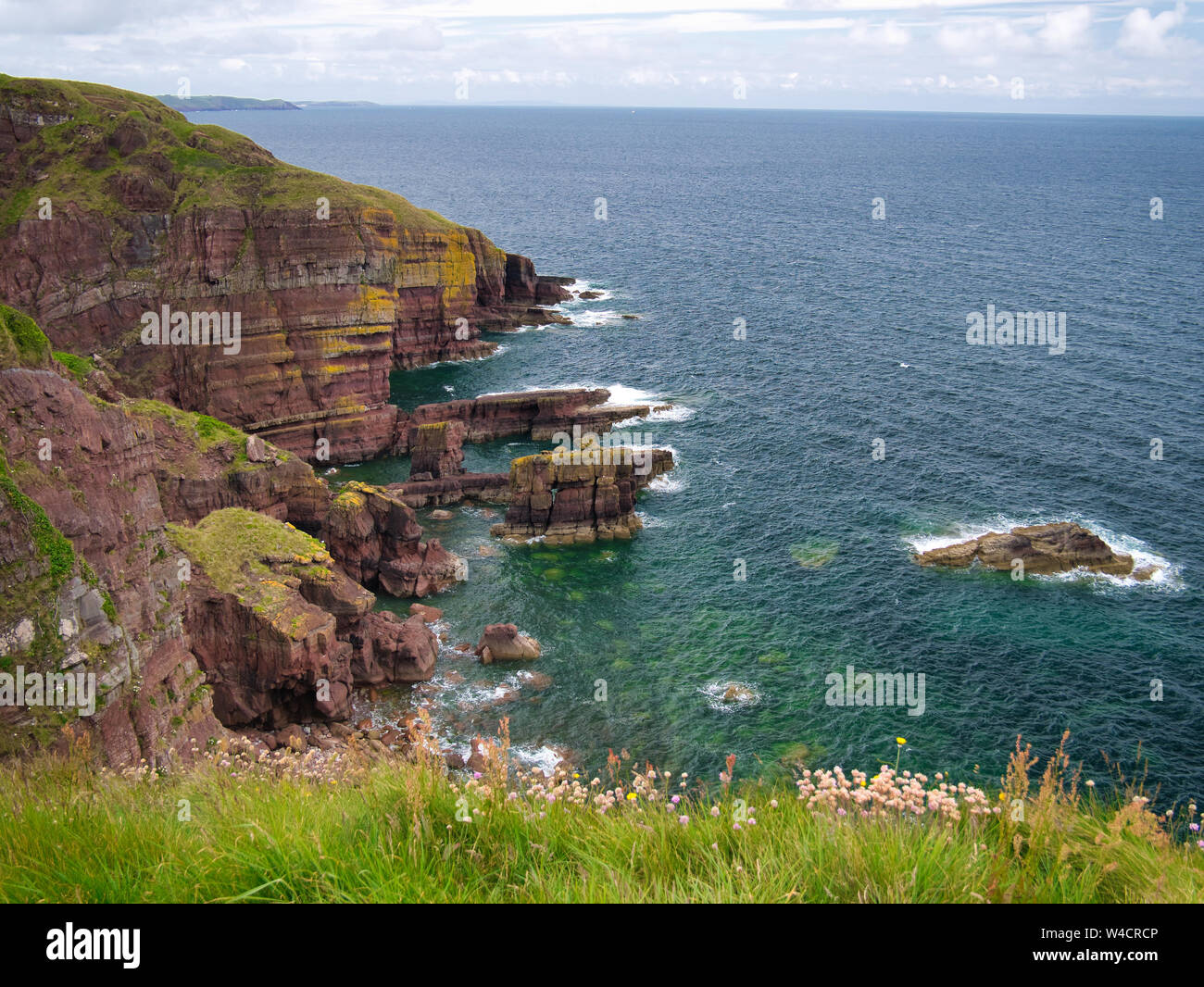 Heavily stratified sandstone sedimentary coastal cliffs in Pembrokeshire, South Wales, UK, as viewed from the Coast Path Stock Photo