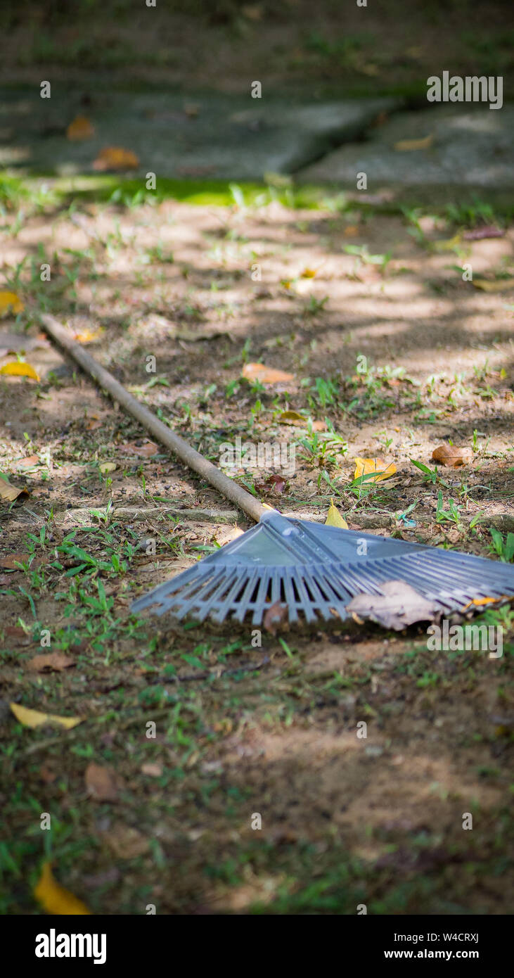 The rake on a wooden stick, collecting grass clippings, garden tools Stock Photo