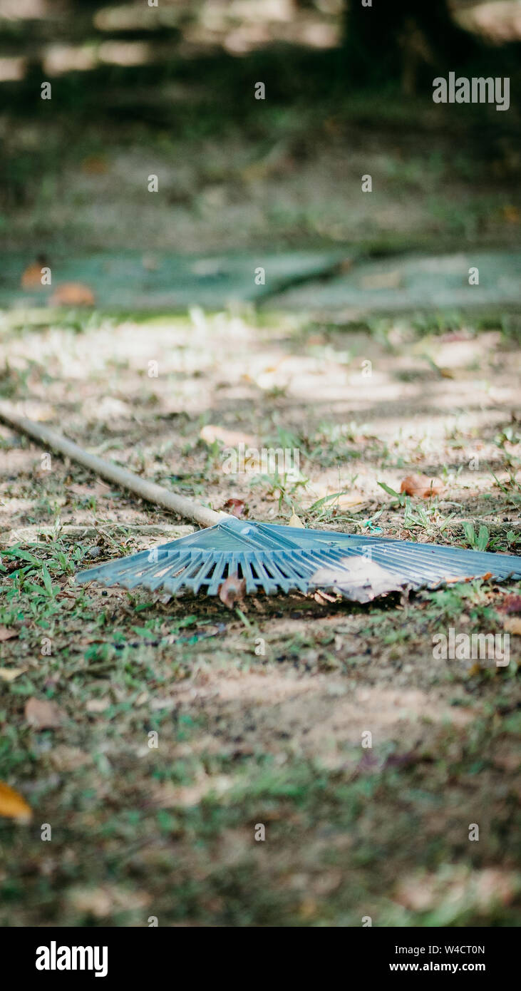 The rake on a wooden stick, collecting grass clippings, garden tools ...