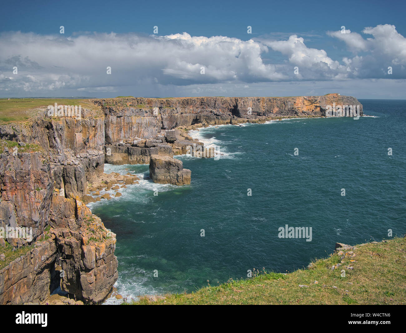 Coastal cliffs near Castlemartin in Pembrokeshire, South Wales, UK, as viewed from the Coast Path, showing strata in the sedimentary rock. Stock Photo