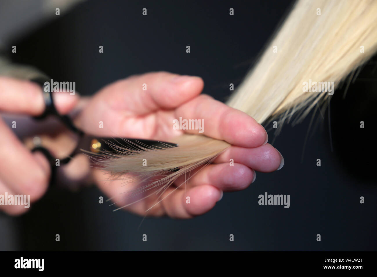 Woman hairdresser cuts the hair of blonde girl, scissors in female hands close up, hair cutting Stock Photo