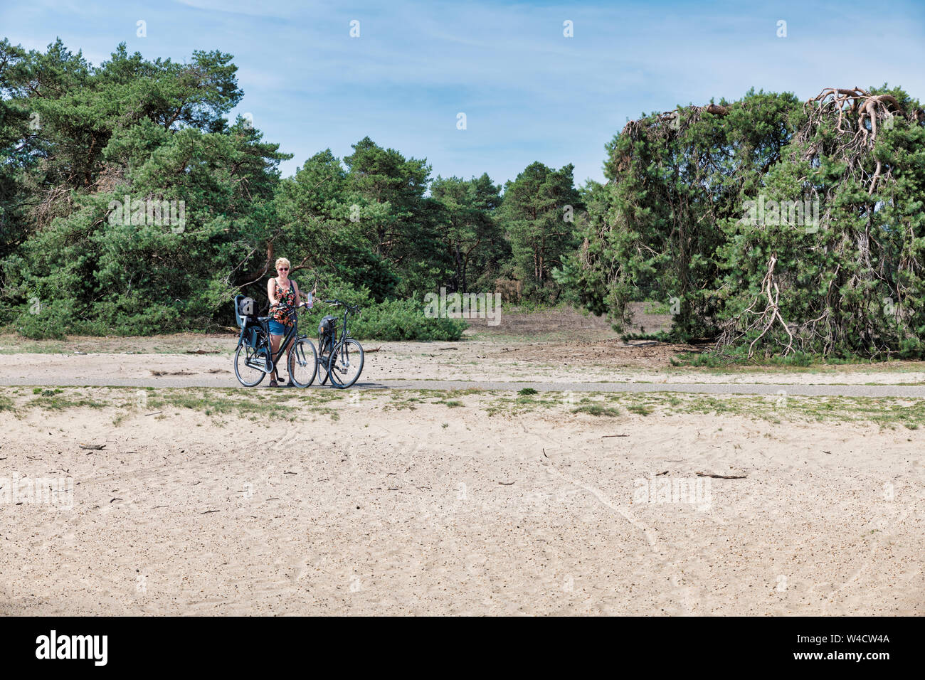 Otterlo,Netherlands,24-june-2019:woman on a bike in national park the hooge veluwe in holland, the park is famous of its wild deers and eautifull landscape Stock Photo