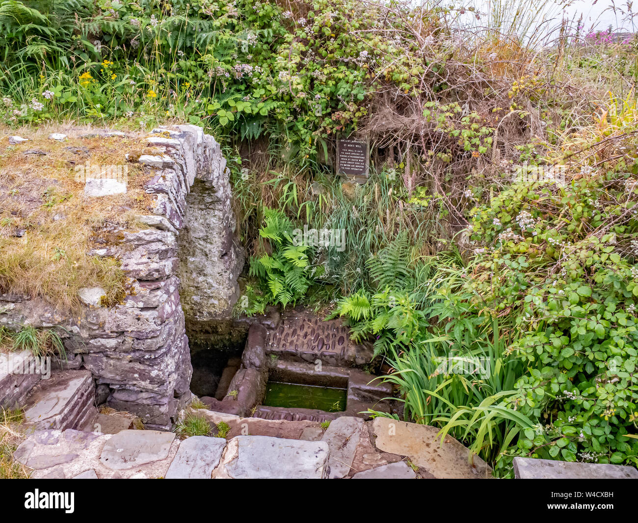 St Non’s Well: An historic and ancient well with healing qualities St Non’s Chapel, St Non’s Bay on the Welsh coastal path, South Wales Stock Photo