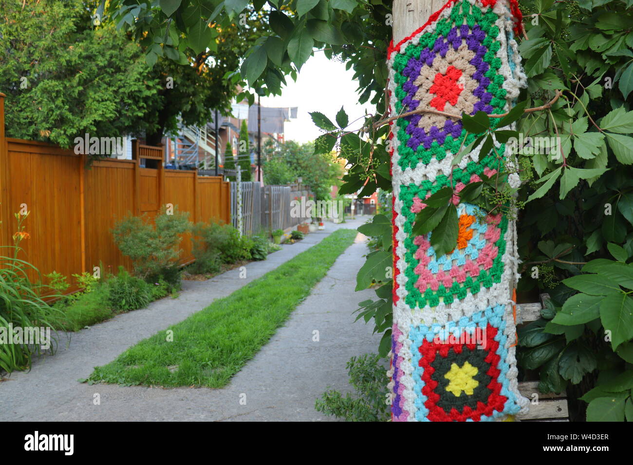 Yarn Bombing in a Back Green Alley, Knitted Decoration, Montreal Stock Photo
