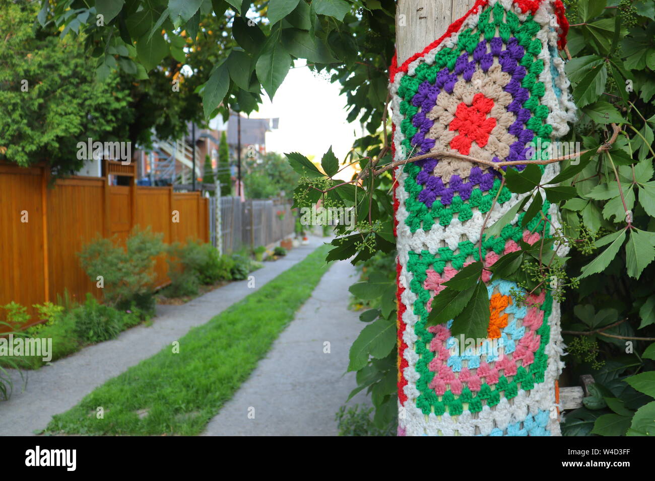 Yarn Bombing in a Green Alley, Knitted Decoration, Montreal Stock Photo