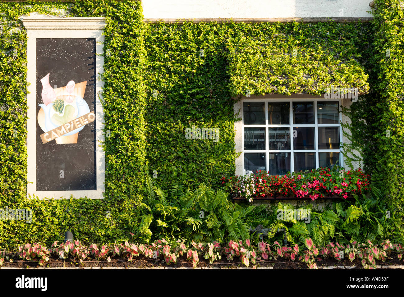 Evening sunlight on the Ivy covered wall of Campiellos Restaurant, Naples, Florida, USA Stock Photo