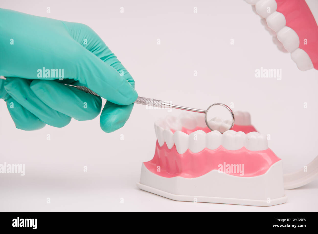 dentist use mirror examination dental model or tooth model Stock Photo ...