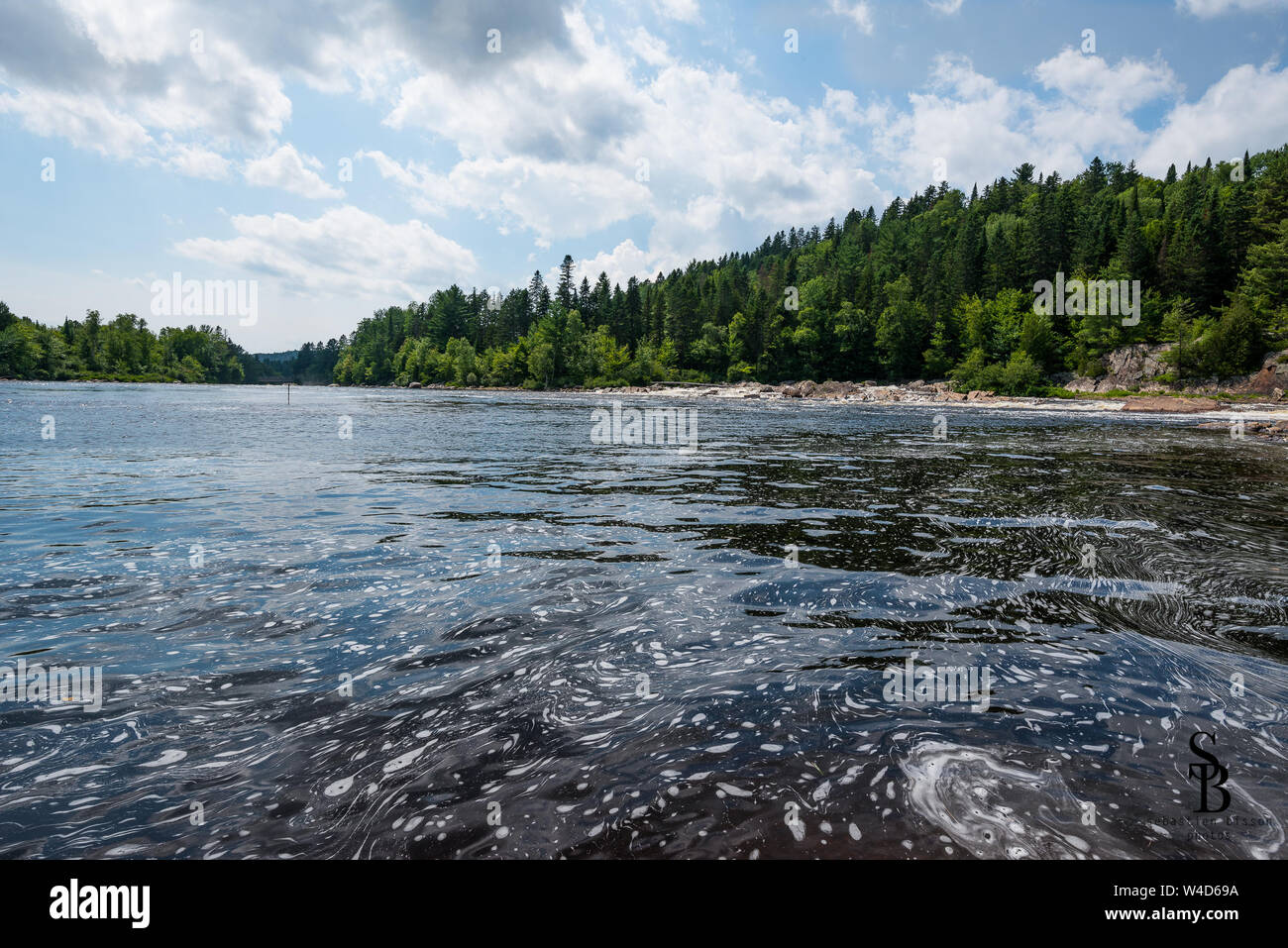 beautiful lake in summer Stock Photo