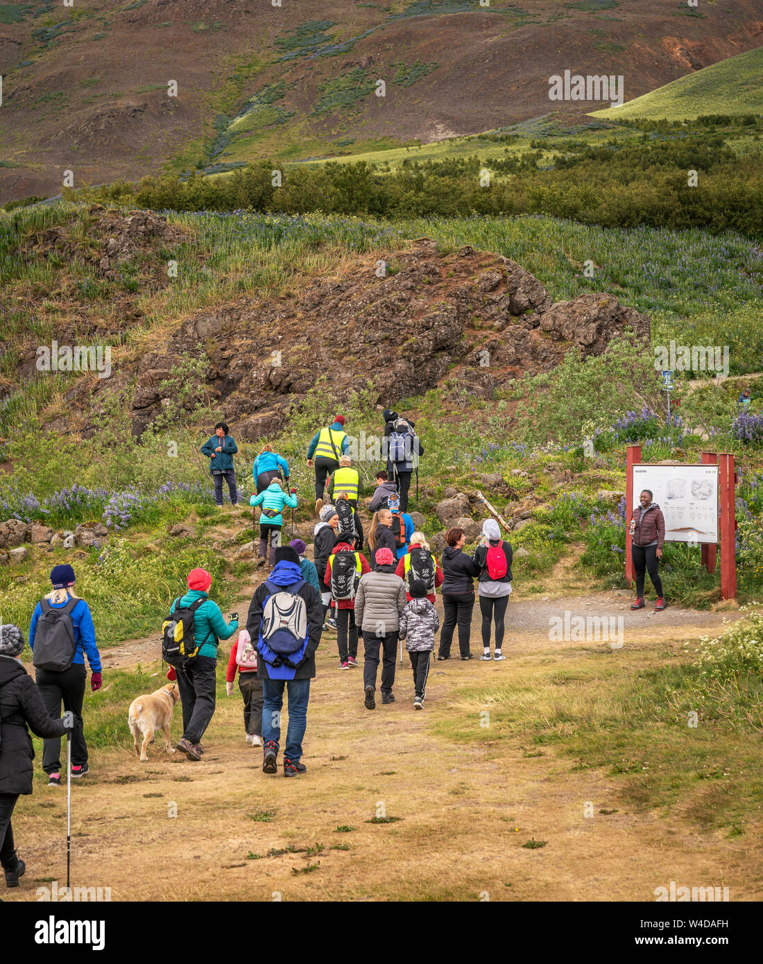 Group hike, Mt Esja, Reykjavik, Iceland Stock Photo