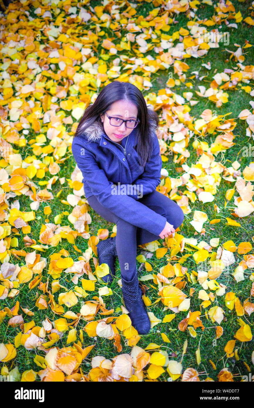 Asian teenage girl sitting among yellow Autumn leaves in the park when colors are changing in the Fall. Stock Photo