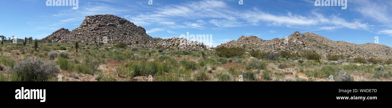 Joshua Tree National Park Stock Photo