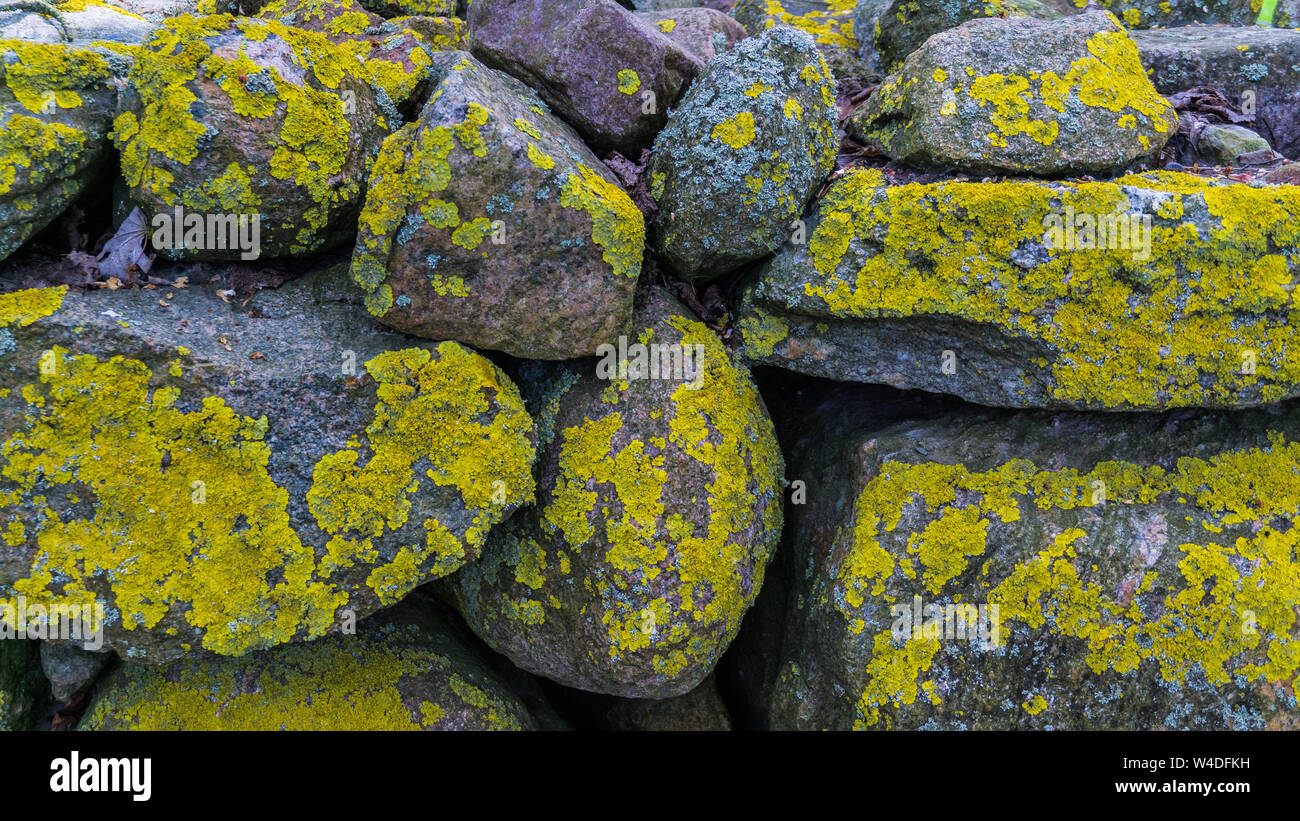 rocks covered with lichen Stock Photo
