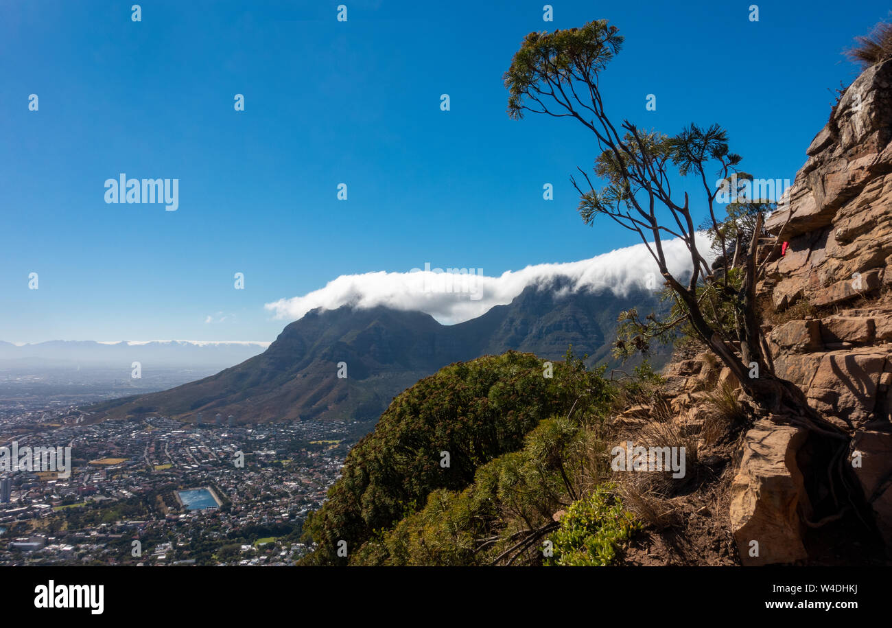 Cloudy ceiling on the top of the table mountain in Cape Town in South Africa. Hiking to Lion's Head with a view on the table mountain in the summer. Stock Photo