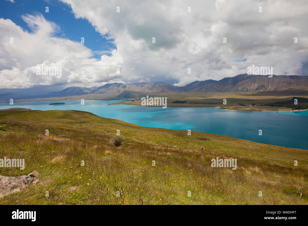 Lake Tekapo in New Zealand Stock Photo - Alamy