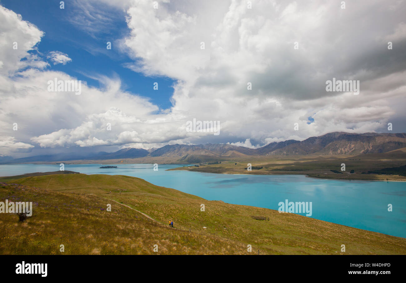 Lake Tekapo in New Zealand Stock Photo - Alamy