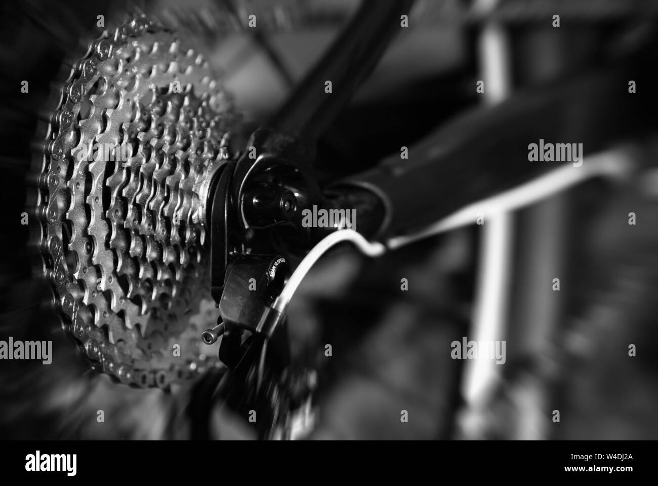 Bicycle chain of a mountain bike Stock Photo