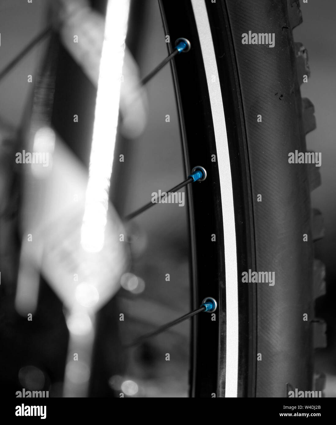 fat wheel bicycle makro